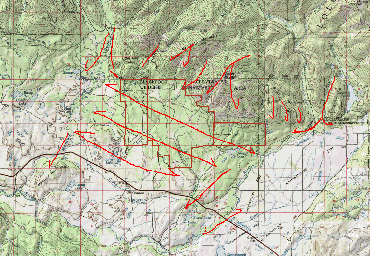 Map showing grizzly movement around Ovando Mountain flats