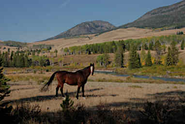 Sambo in North Fork of the Sun Country