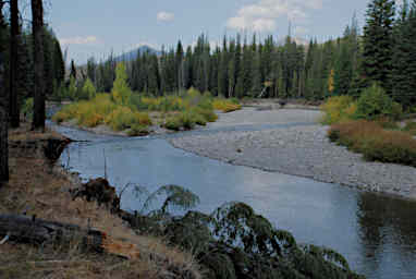 Looking North on North Fork of the Sun