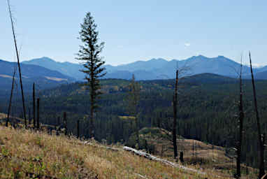 Looking South, above the North Fork of the Sun