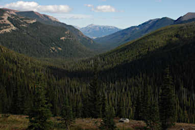 Looking Down Rock Creek