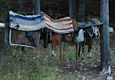 Saddle Rack