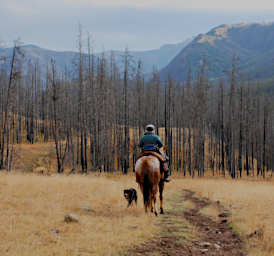 Dona on Sky, West Fork Sun River