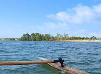 Anakao Mangroves