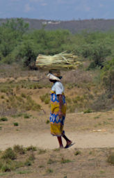 Beza-Mahafaly Women Carrying On Head