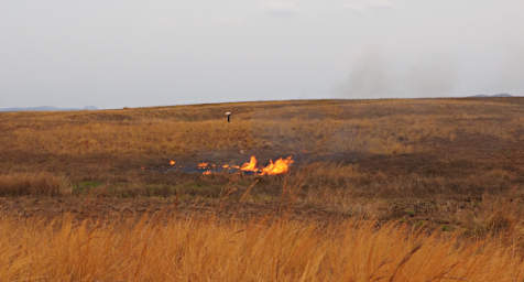 Manambolo R Burning Grass