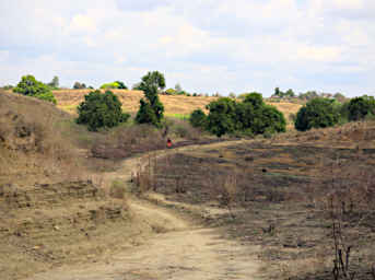 Manambolo R Approaching Village