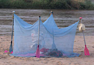 Manambolo R Mosquito Net Tent