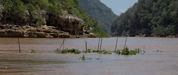 Manambolo R Shrimp Trap