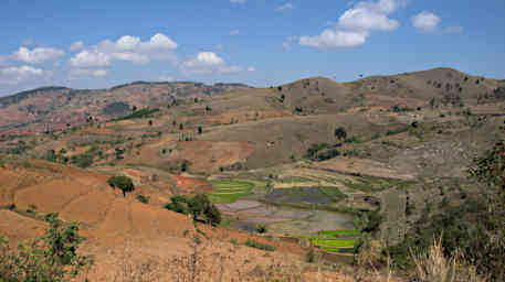 Ranomafana Crop Terraces Rice Paddies