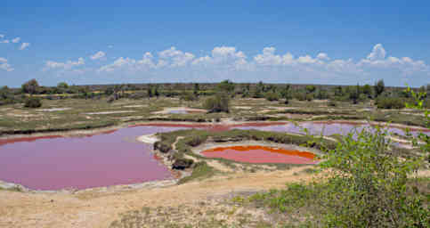 Reniala Mineral Salt Ponds