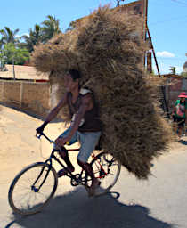 Toliara Bicycle Roofing Material