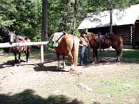 Horses and Gary at Cabin Lunch Stop