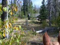 Welcome Creek Cabin