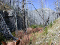 Welcome Creek Drainage