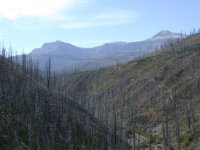 Scapegoat Mt and Halfmoon Creek Drainage