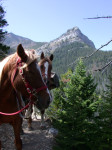 Halfmoon Peak