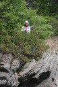 Dona in bushes above Falls on South Fork of Birch Creek
