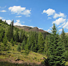 View from Camp