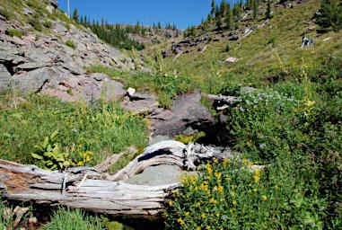 Creek Bottom on Trail to Foolhen Lakes