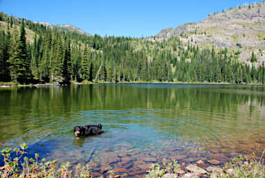 Max, Lower Foolhen Lake