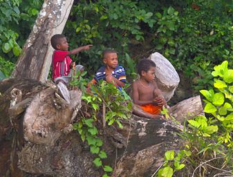 Waigeo Boys On Tree