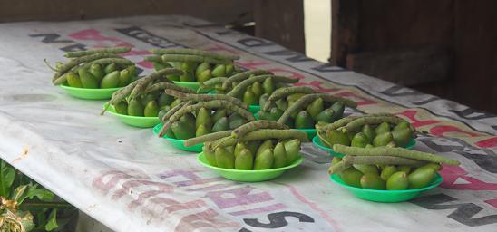 Waigeo Betel Nuts4Sale