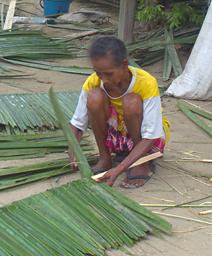 Waigeo Making Roofing