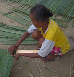 Waigeo Making Roofing