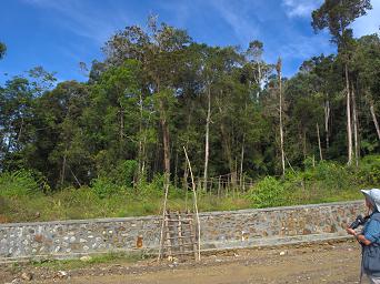 Arfak Low Camp Hike