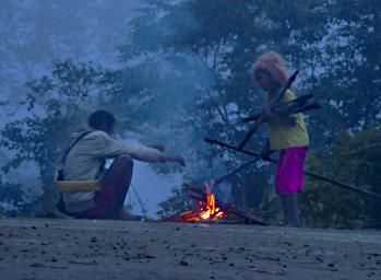 Arfak Low Camp Fire By Road