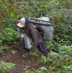 Arfak German Camp Trail Xxx