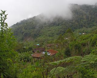 Arfak Syoubri Village