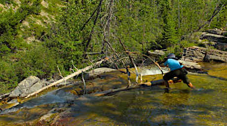 Jack and Log above Falls