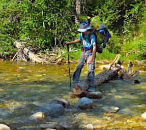 Jack Crossing the Creek