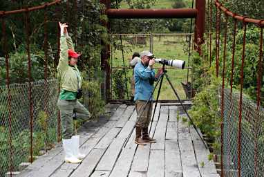 Birding in Ecuador with Ram, Dawn, Joe and Esther