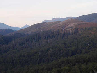 View from Donaghy's Hill