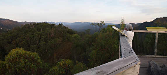 Dona on Viewing Platform at donaghy's Hill