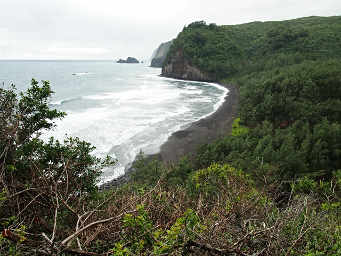 Pololu