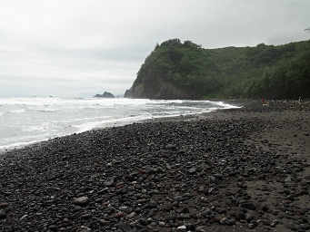 Pololu