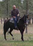 Dean Howe riding Lynde's horse, Haley