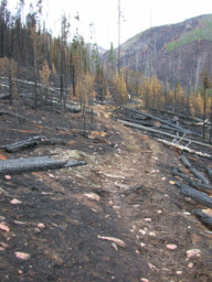 Burn along North Fork