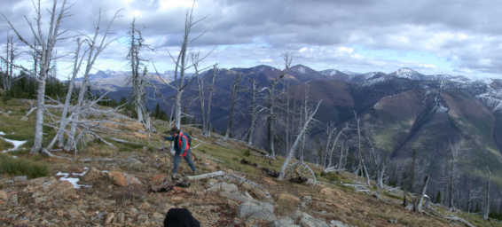 Dona looking East