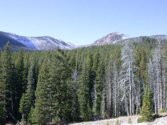 Mt. Evans