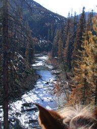 North Fork above the East Fork Confluence