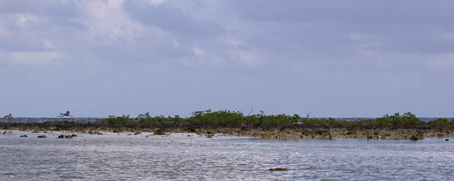 Barrier Reef New Island