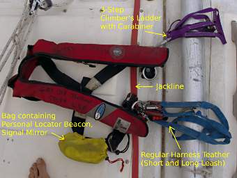 Safety Harness