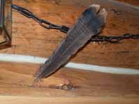 Turkey Feather in Log Wall