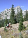 Gary with the horses under the continental divide