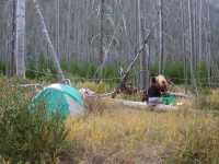 Dry Fork Cutoff Camp